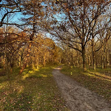Cosy Casa Egmond aan Zee