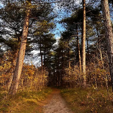 Cosy Casa * Egmond aan Zee