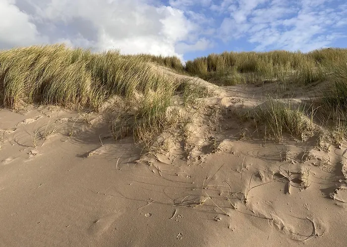 Cosy Casa 아파트 에크몬드안지