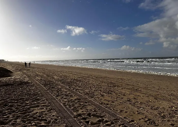 Cosy Casa 아파트 *