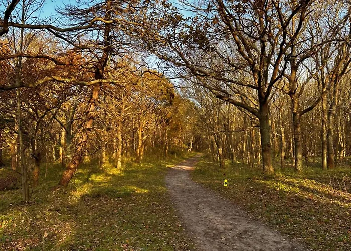 Cosy Casa 에크몬드안지