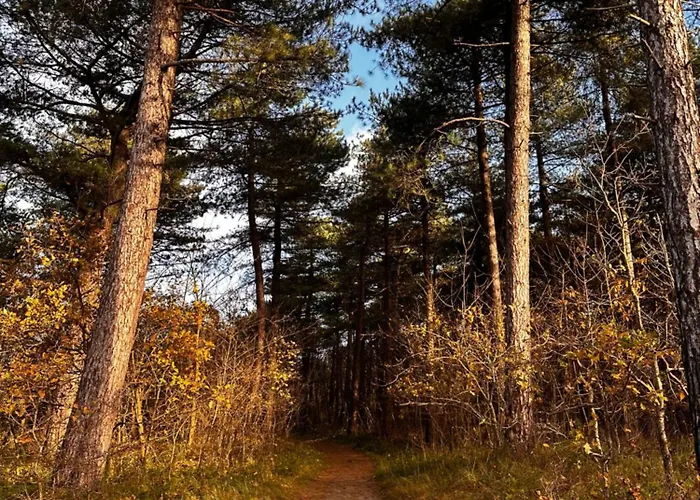 Cosy Casa * 에크몬드안지